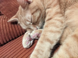 af2c4d77-503a-4459-ad6e-0f791ddf40e7