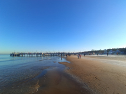 cdd1f34e-71d3-4db9-811e-df27b13e627e