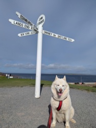 d18eb250-72fd-4cab-a6a3-774fa7b82b5b