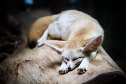 a160fcb9-77dc-4801-bc6d-5b47ac672e20