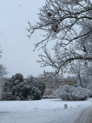 b5e7f3ca-abe1-4751-a45d-6e9ac9b0cce4