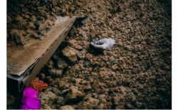 6fceb3af-8a45-497a-9e10-4a6c86f832aa