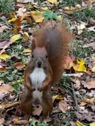 aa8e770c-8c34-474b-b6b5-6ee464ee012a