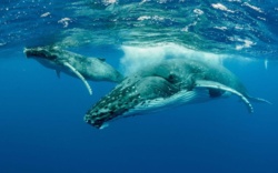 8a629b93-47a9-45f7-be7f-622fb1c5aaba