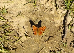 0b9c7c44-760a-4315-a64d-689c2f6bad64