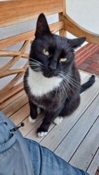 36edd9bf-2b90-45cf-afd3-d4b599e9f281