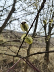 e5af255a-2657-4897-b0c6-d011ebfb13d1