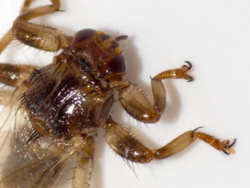 22659c8a-8537-40de-a32e-3d939bdfe4f1