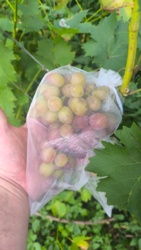 6d441ff2-cb7f-459e-ad8f-5e43a874783b