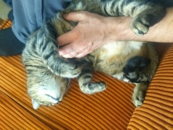 ec3b3c06-1d71-4812-95ed-3a7585c6d054