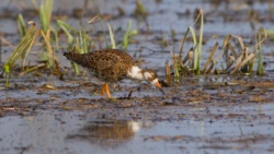 c4d1ece6-e664-4e27-a0e3-de6014c15e84