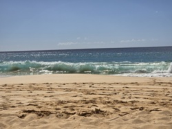 4852c182-2f28-4963-949d-2d005d7c68b4