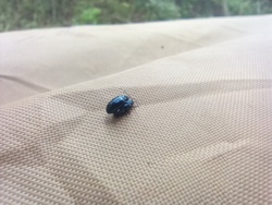 a6c03346-f4ab-4729-8e25-defe88477ebe