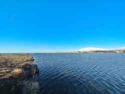 1b57df0d-1efe-410e-adeb-1d247b7870eb