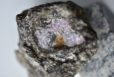 Odkrycie w rubinie z Grenlandii. Życie na Ziemi istniało już 2,5 miliarda lat temu