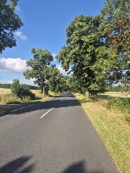 5d699b7b-2f20-4f3f-aba7-0e5e84d25b38