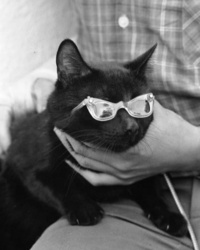 655cf298-734b-48ea-8cdf-13842f268667