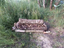 f250b9ae-a7f6-49b1-93f4-e1d60d380f7c