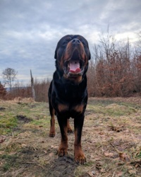 33fc6f43-a0ed-46ca-97dc-089c48f79355