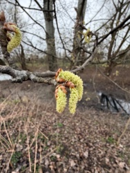 b3ae57e2-e59e-4cf2-93df-777f6066007c