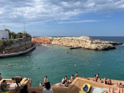 0f3f2bfd-330f-470a-b534-ab8a2dd9f83b