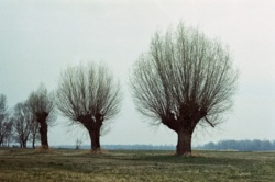 8339bf3c-4509-4fa6-b785-8dbf6307dc06