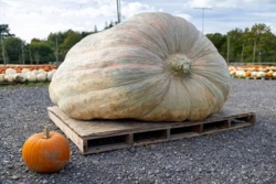 d8dc6ed6-6d61-42b2-8fe0-d8189291b758