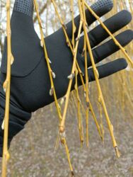 826f4b19-87fc-4bfe-b922-342d1f84e298