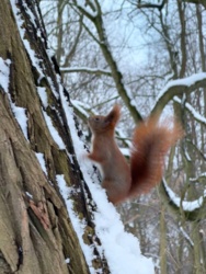 e939ada3-3540-46a1-957d-3f7f6f3d3b8a