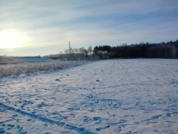 9038f69e-d6ba-4314-94f1-e2ae43b5587e