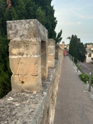 8bf795aa-a11d-4487-a439-28ad5bd30728