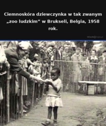 22923061-c1f5-4afa-8104-19072a6be44f