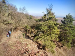 504d8c53-7e7a-448a-8b22-9ff01b67687f