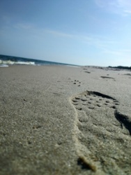 4f558dcd-4908-415b-a21b-09e614903508