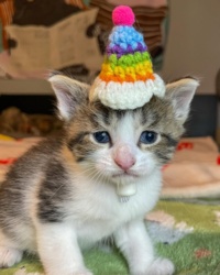 00a8c54d-5f49-4c45-936a-b792eecb6e88