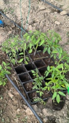 5c2e57b4-78ab-4172-a093-25a264c374ca