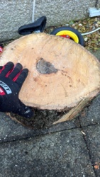 43e77674-7008-403d-b932-6c4ffc00b689