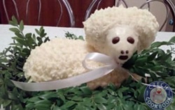 246bf9d3-2502-4abc-978b-6b9871f49edc