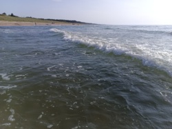 5b827fa2-17c1-430f-a5d3-6a23d32c0360