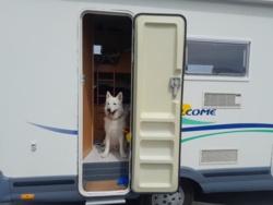 5f444dcf-5049-423e-9302-793a00abfb5d