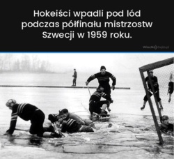 7a67885c-88c5-46f1-942b-1e3c5e7d8f14