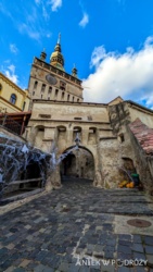 ba338dd6-83ed-43e0-9e1e-7553b48645ca