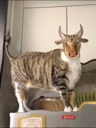 9f3f0acd-1ae2-481a-a5a0-b239a12752b5