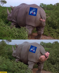 60502812-791e-472e-b65a-5ea24074c7df