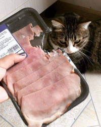 4f6473d2-7b38-401e-b69e-7d45e319b19f