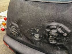 5414d615-8a70-4def-938e-36a362747883