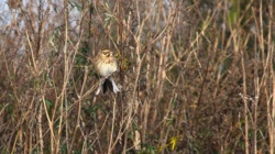 f87068f6-a670-403a-9002-41eed9c476c8