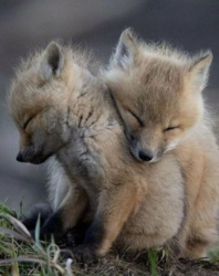 5857d9ce-ed50-42dc-bdec-c1755f96586f