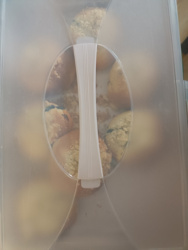 996cb148-4675-413d-865f-fa6097bee360