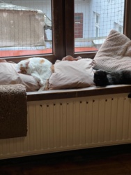 b1fb0cba-399f-4d77-a8be-50eef8a121cc